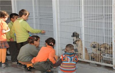 İLKÖĞRETİM ÖĞRENCİLERİ DOĞAL YAŞAM PARKI’NI ZİYARET ETTİLER