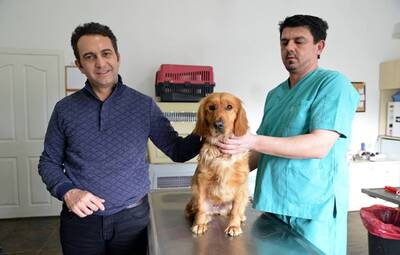 HAYVANSEVERLER SOKAK HAYVANLARINA SAHİP ÇIKIYOR