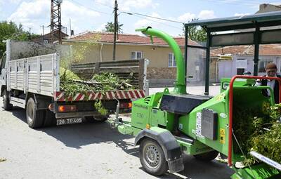 DAL BUDAMA ÇALIŞMALARI SÜRÜYOR