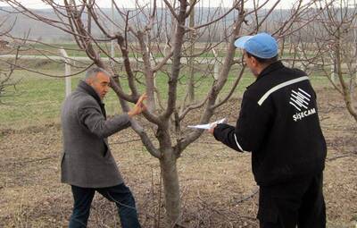 TEPEBAŞI'NDAN TARIM VE HAYVANCILIK DESTEĞİ
