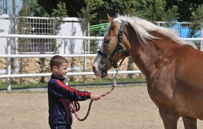 RESİMLERLE HAYVAN SEVGİSİ