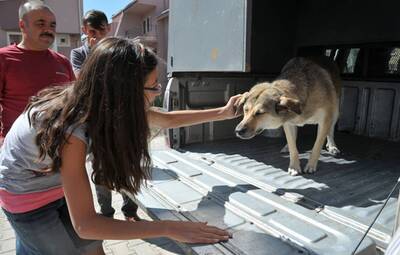 VURULAN KÖPEK SAĞLIĞINA KAVUŞTU