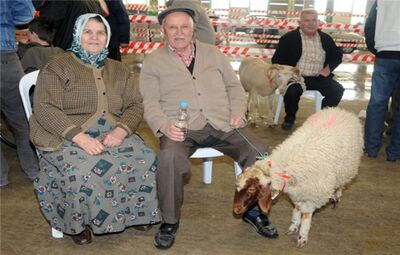 TEPEBAŞI BELEDİYESİ’NDEN ÜCRETSİZ KURBAN KESİMİ