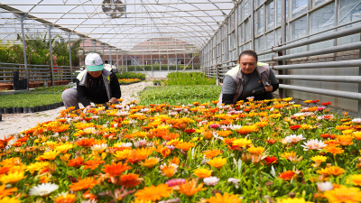 “TEPEBAŞI’NA GELİNCE İÇİNİZ AÇILIR”