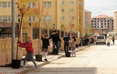 ÇOCUKLARDAN AĞAÇLANDIRMA SEFERBERLİĞİ
