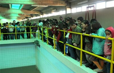 TEPEBAŞI BELEDİYESİ'NDEN ÇEVRE ÇOCUK ÇALIŞTAYI