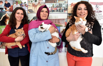 TEPEBAŞI'NDA HAYATA TUTUNUYORLAR