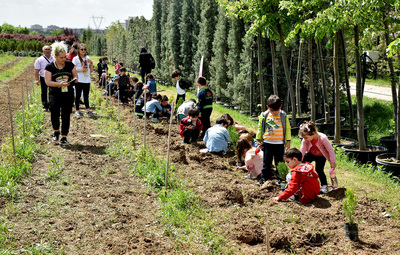 205 ÇAM FİDANI TOPRAKLA BULUŞTU