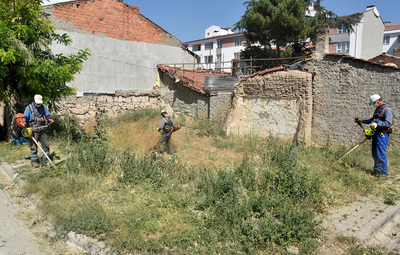YABANİ OT TEMİZLİĞİ SÜRÜYOR