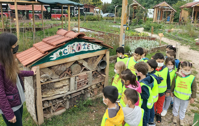 YERYÜZÜ EKOLOJİ OKULU HAZİRAN ATÖLYELERİ BAŞLIYOR