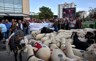 FESTİVAL RENKLİ GÖRÜNTÜLER İLE BAŞLADI