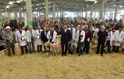 GELENEKSEL 4. KÜÇÜKBAŞ ÇOBAN FESTİVALİ SONA ERDİ