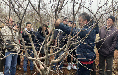 BUDAMA EĞİTİMLERİ TEPEBAŞI'NDA VERİLECEK