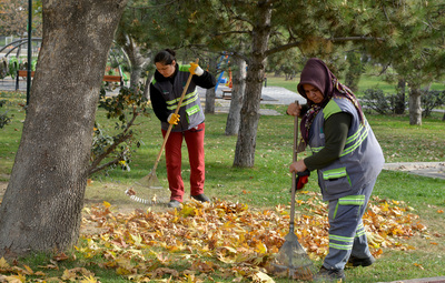 TEPEBAŞI PARKLARINDA SONBAHAR TEMİZLİĞİ