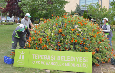TEPEBAŞI ÇİÇEKLER İLE RENGARENK