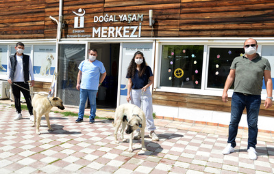 PEKİN KARDEŞLERDEN ÖRNEK DUYARLILIK