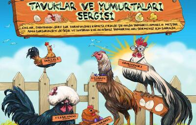 TAVUKLAR VE YUMURTALARI SERGİSİ ESKİŞEHİR'DE