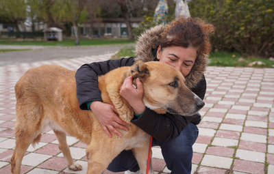 "KOCA OĞLAN" SICAK YUVASINA KAVUŞTU