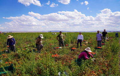 BAŞKAN ATAÇ: "ESKİŞEHİR'İN TOPRAĞINA DEĞER KATAN ÜRETİCİLERİMİZİN DAİMA YANINDAYIZ"