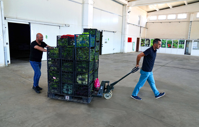 ÜRETİCİNİN EMEKLERİ TEPEBAŞI'NDA DEĞER BULUYOR