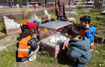 YERYÜZÜ EKOLOJİ OKULU MİNİKLERİ AĞIRLADI