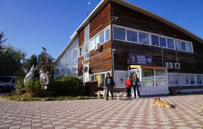 İKİ CAN DAHA SICAK YUVAYA KAVUŞTU