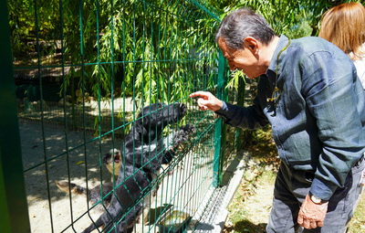 2009'DAN BU YANA 13 BİN 710 HAYVAN SAHİPLENDİRİLDİ