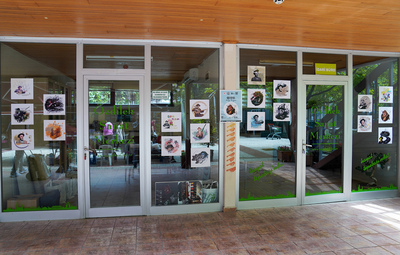 AŞIK VEYSEL KOLAJ SERGİSİ ZİYARETÇİLERİNİ BEKLİYOR