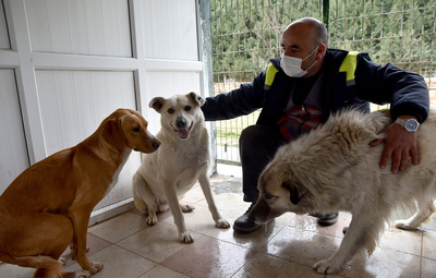 ÜÇ KÖPEK DOĞAL YAŞAM MERKEZİ'NİN MİSAFİRİ OLDU