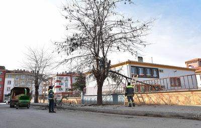 BUDAMA ÇALIŞMALARI SÜRÜYOR