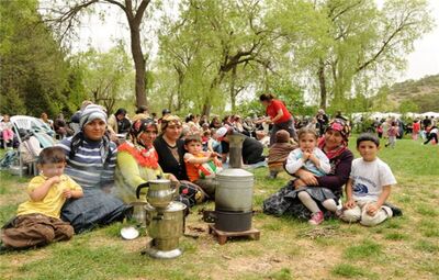 TEPEBAŞI BELEDİYESİ'NDEN ANNELER GÜNÜ PİKNİĞİ