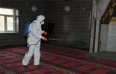 "DOMUZ GRİBİ"NE KARŞI ÖNLEMLER ARTTIRILIYOR