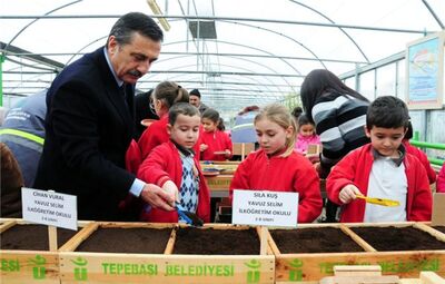 TOHUMLAR TOPRAKLA BULUŞUYOR