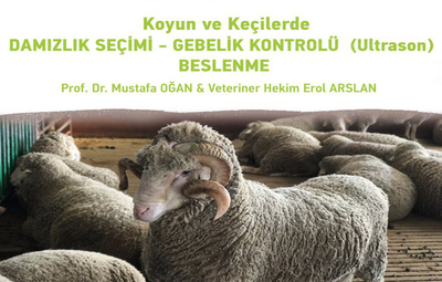 KÜÇÜKBAŞ ÜRETİCİLERİNE DESTEK SÜRÜYOR