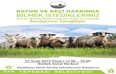 KÜÇÜKBAŞ HAYVANLAR ELE ALINACAK